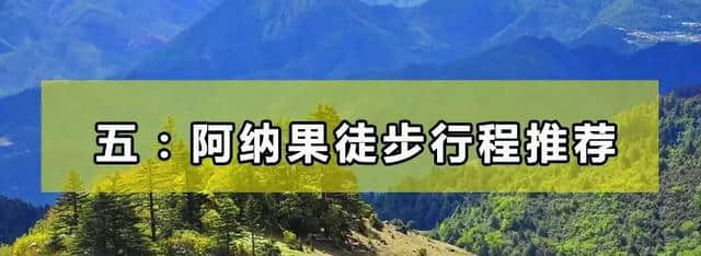 如果去不了雨崩，那一定要去阿纳果