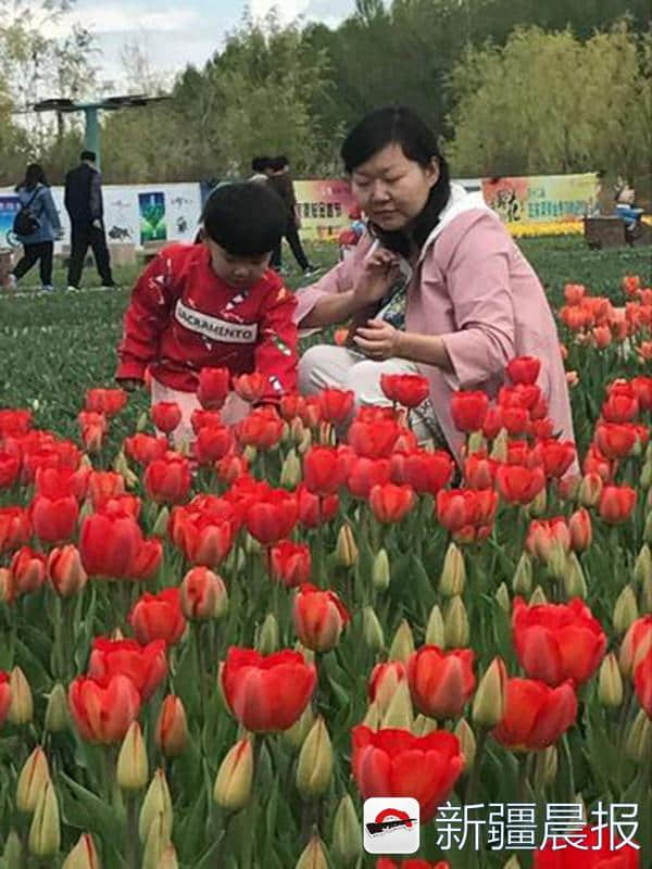 五家渠200万株郁金香芬芳娇艳引来赏花人