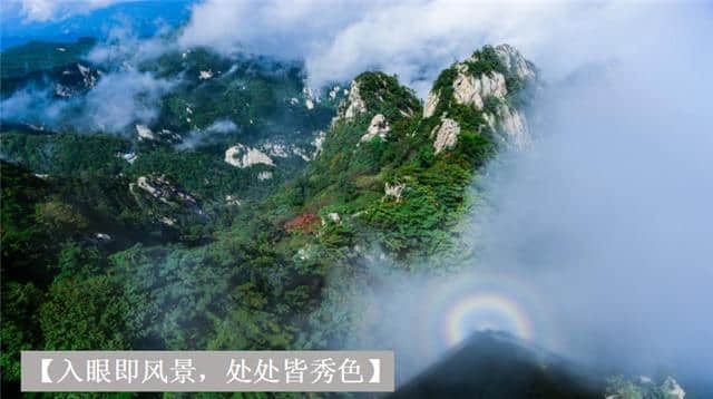 “中原灵秀地 魅力平顶山”旅游推介会在阜阳举行