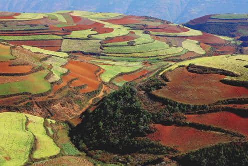 11月份去这些地方旅游，度蜜月再合适不过了