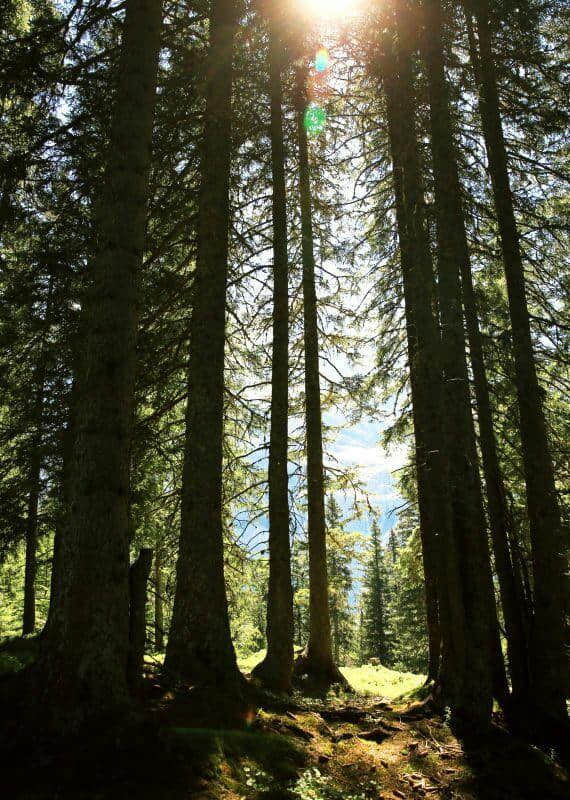 瑞士著名山峰，被称为阿尔卑斯山的“皇后”，你知道是哪吗？