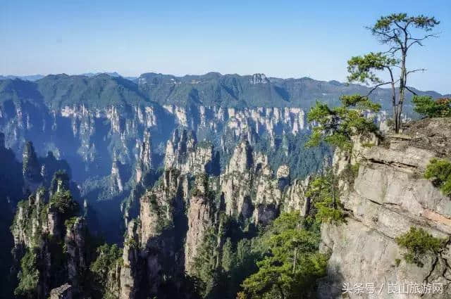 2月国内最佳旅游目的地，趁假期赶快带上家人去旅行吧！