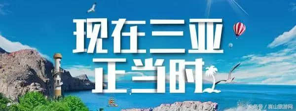 2月国内最佳旅游目的地，趁假期赶快带上家人去旅行吧！