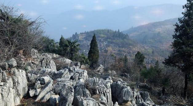 来芜湖去哪里旅游？