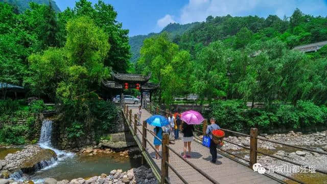 全球旅游达人齐聚青城山｜登高、学太极、话养生、元旦就这样过啦~