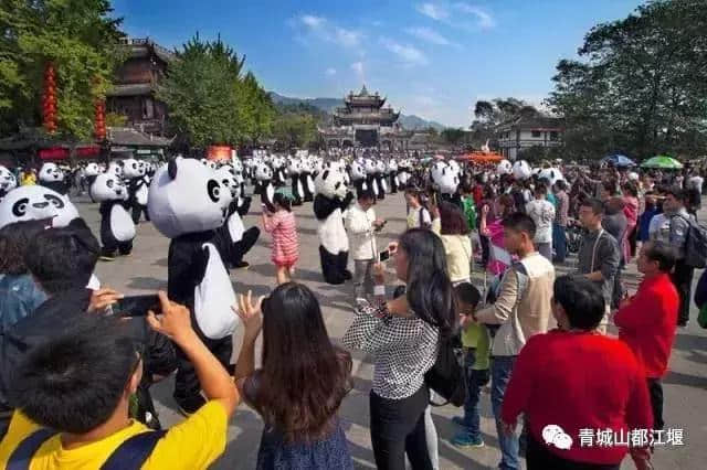 全球旅游达人齐聚青城山｜登高、学太极、话养生、元旦就这样过啦~