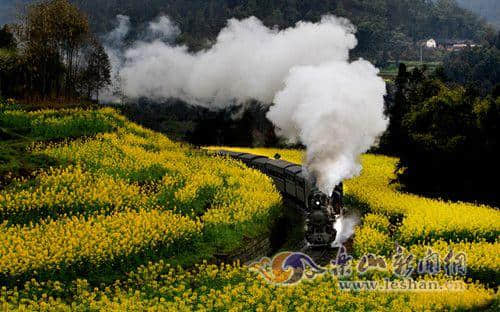 乐山乡村旅游线路推荐：11种颜色的美景