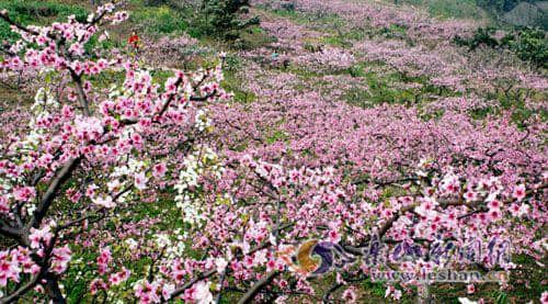 乐山乡村旅游线路推荐：11种颜色的美景