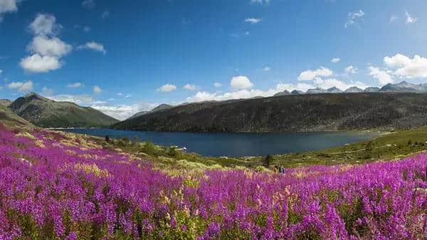 这些甘孜美景，你去过几个