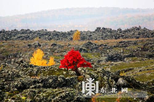 &quot;五花山+火山&quot; &quot;十一&quot;长假畅游五大连池风景区攻略