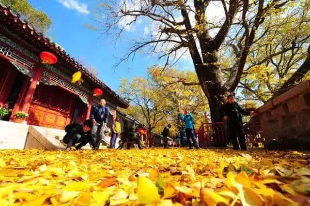 ilove青岛｜长假将至，细数青岛最美10大旅行地，你去过几个？