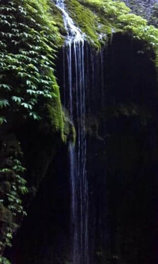 成都-青城山后山游玩攻略游记