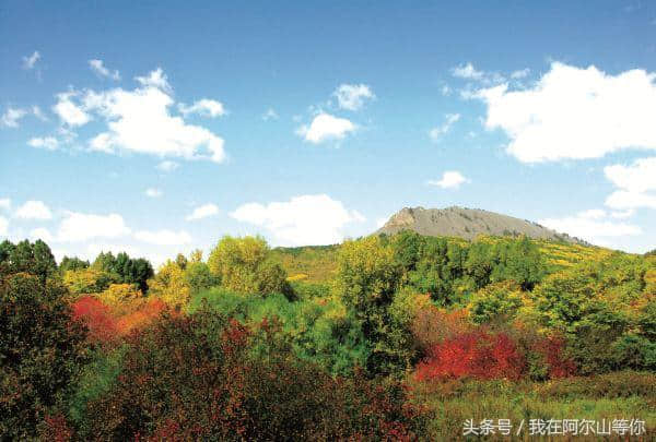 阿尔山的秋意正浓，为您准备了阿尔山旅游攻略，来不来就看你了