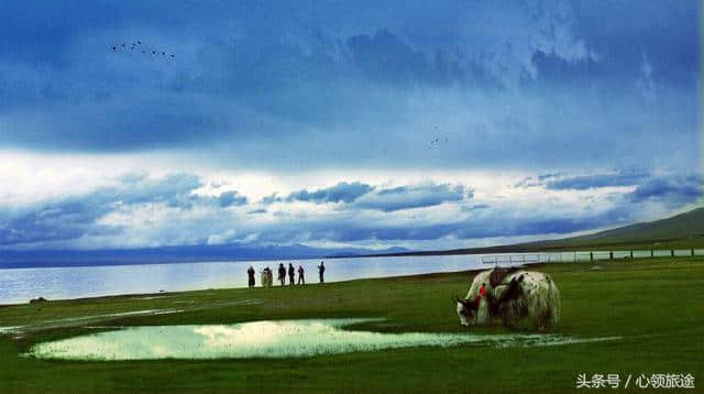 一天时间在青海湖旅游的首选路线原来是这样的，跟我走吧！