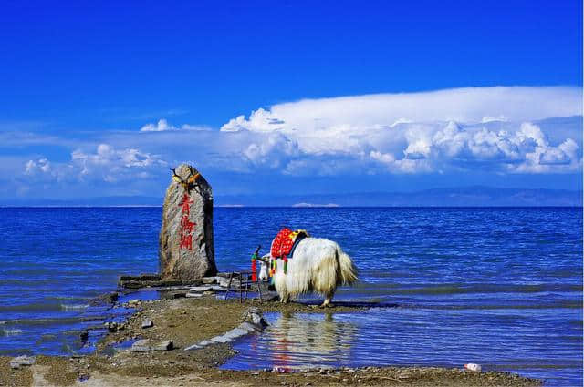 来青海旅游，必须收藏的经典路线