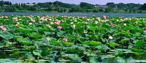 芜湖旅游胜地 芜湖旅游景点介绍 芜湖旅游景点大全