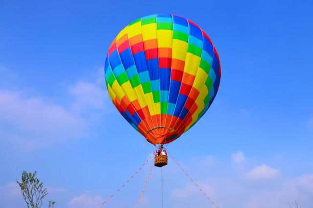 暑期周边潮玩新去处！热气球、梦幻花海、童趣园……宁波高铁出发仅1.5小时