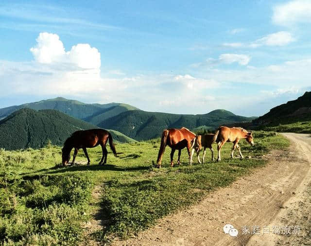 忻州五台山、阎锡山故居二日游