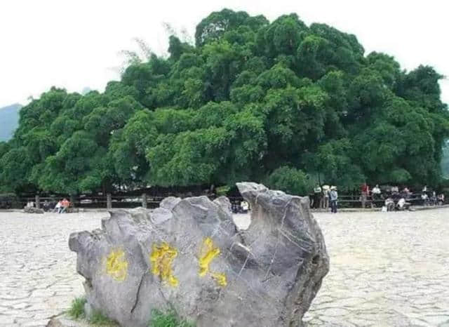 山水桂林，水墨漓江，一场说走就走的旅行