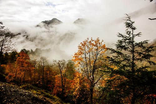 成都周边旅游新景色二郎山喇叭河9.27开园