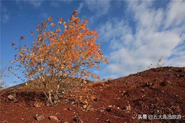 五大连池美，是时候让全世界知道了！