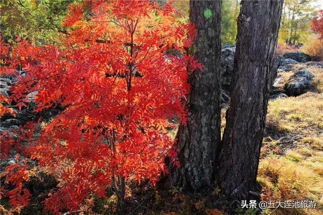 五大连池美，是时候让全世界知道了！