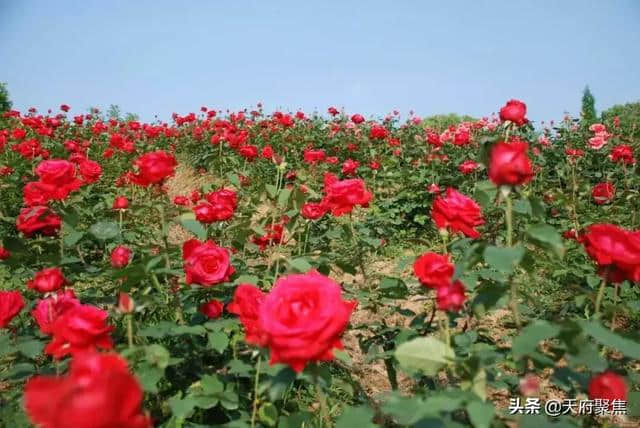 仁寿五一节这份旅游清单收好，够你嗨4天！