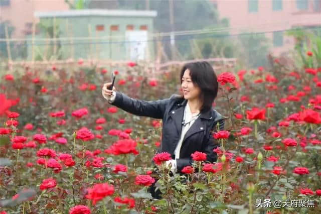 仁寿五一节这份旅游清单收好，够你嗨4天！