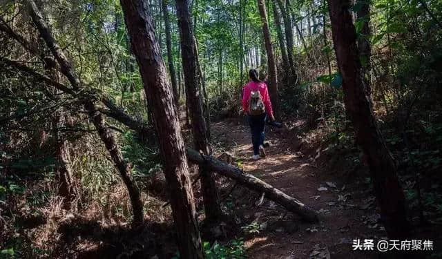 仁寿五一节这份旅游清单收好，够你嗨4天！