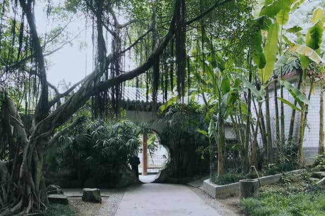 这座隐于闹市的秘密花园，听说很多赣州人都没来过