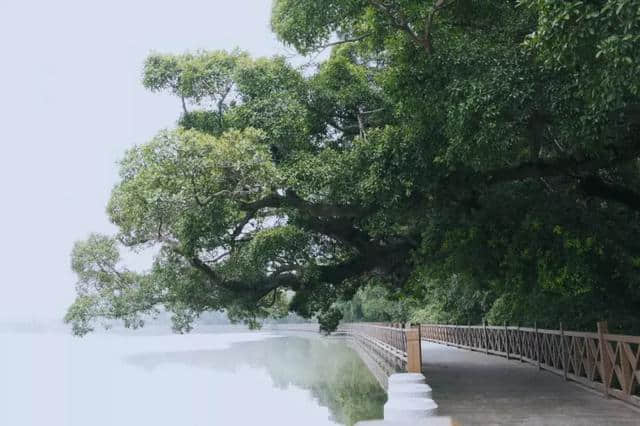 这座隐于闹市的秘密花园，听说很多赣州人都没来过