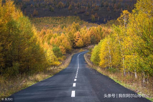 内蒙古阿尔山旅游秋季摄影全攻略