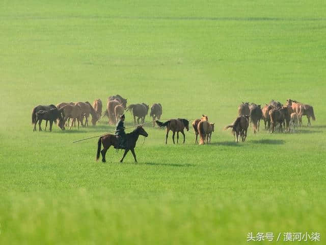 呼伦贝尔大草原+梦幻阿尔山纯玩7日之旅线路攻略