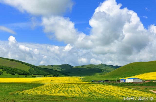 呼伦贝尔大草原+梦幻阿尔山纯玩7日之旅线路攻略