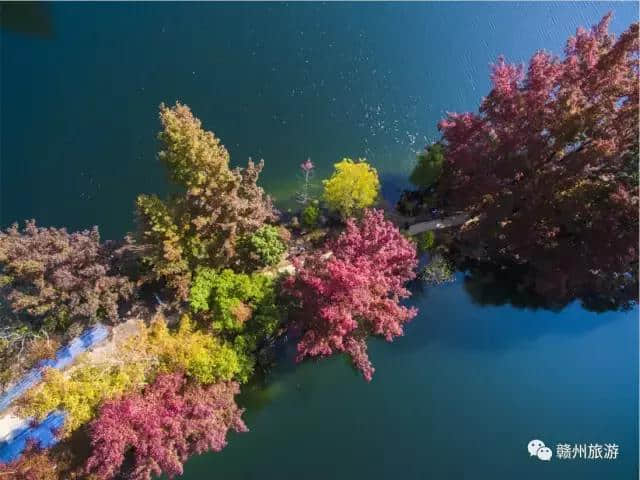 今天起，请叫我阳明湖！赣州市阳明湖景区揭牌仪式顺利举行！