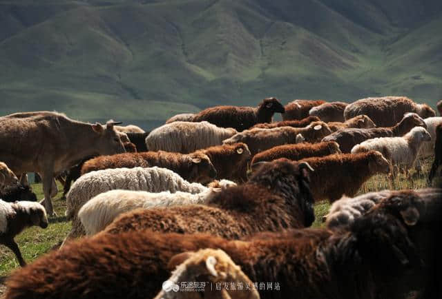 失之交臂喀拉峻 峰回路转十八弯