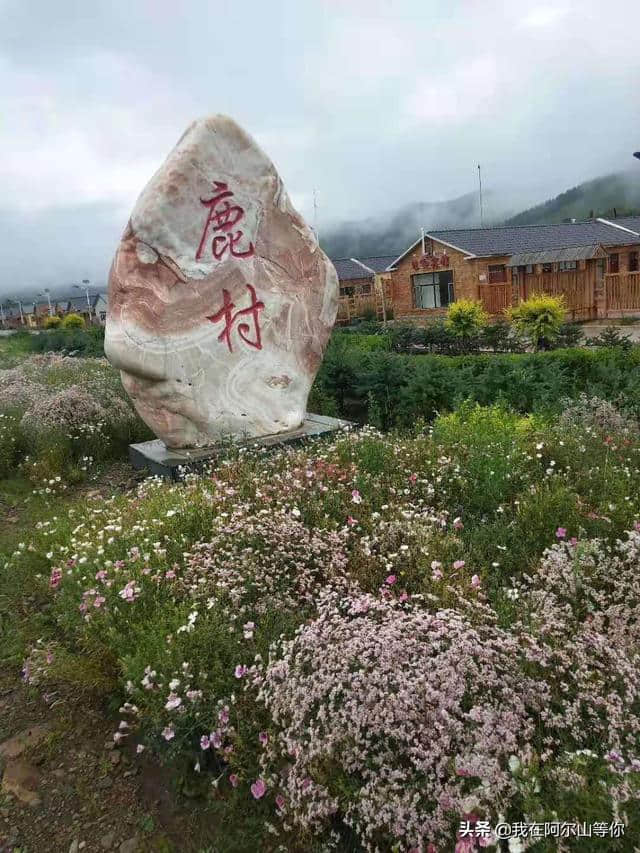 阿尔山旅游民宿推荐