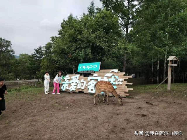 阿尔山旅游民宿推荐