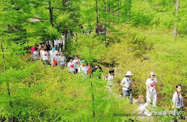 夏天到伊春醉一次氧，这里有中国的好空气