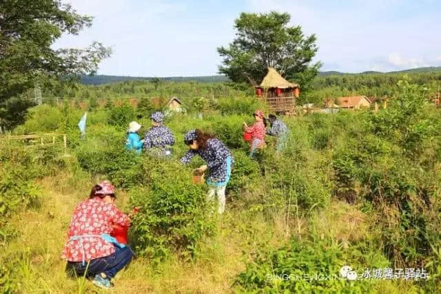 夏天到伊春醉一次氧，这里有中国的好空气