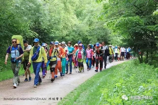 夏天到伊春醉一次氧，这里有中国的好空气