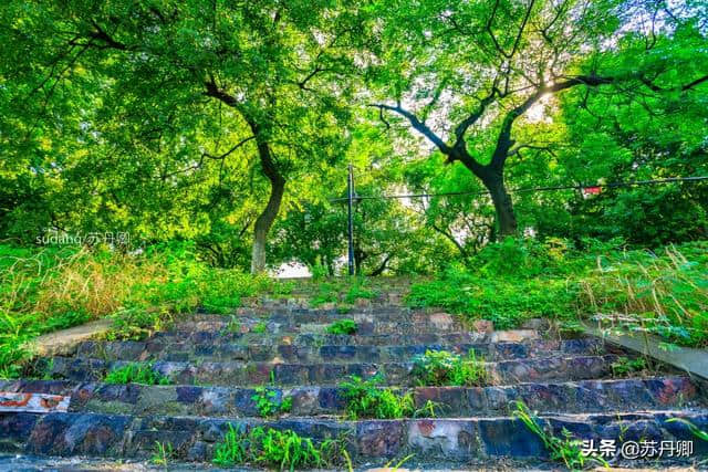 武汉旅游：东湖风光村不“风光”，“里约热内卢”只是城中村