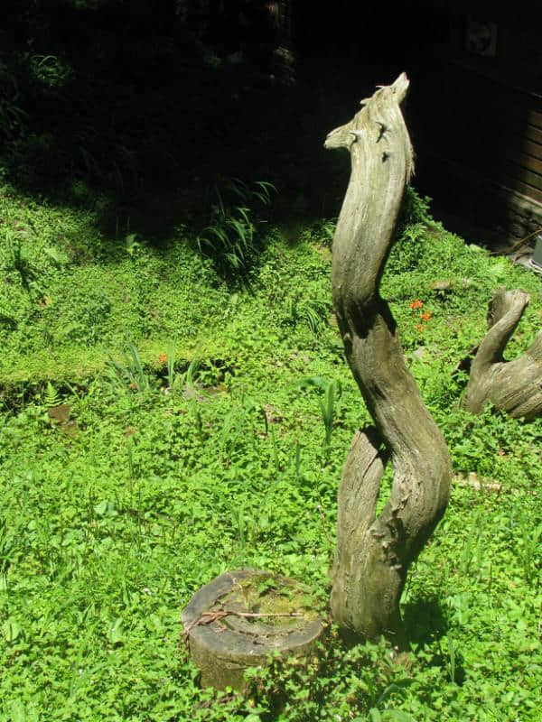 台湾印象（三）阿里山、日月潭