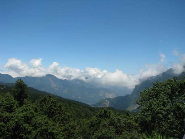 台湾印象（三）阿里山、日月潭