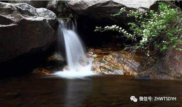 五台山旅游攻略 --五台山养生“三宝”之一——神奇的泉水