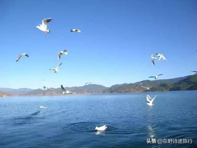 来青海旅游，这份两日游攻略炒鸡实用~赶紧收藏