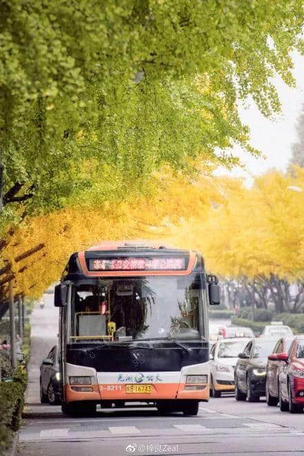 芜湖，一座被低估的旅游胜地