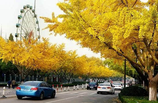 芜湖，一座被低估的旅游胜地