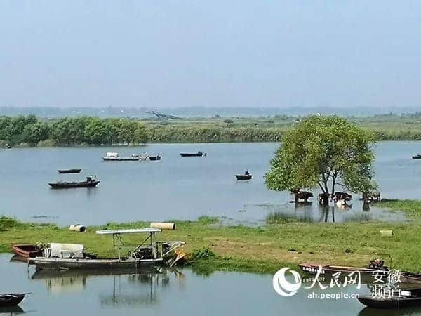 阜阳乡村旅游十家景区景点推介！国庆假期去转转吧