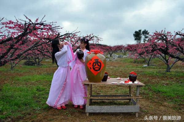 连州女大学生穿古装游桃园喝桃花酒玩飞花令，呼吁人们要学古诗词